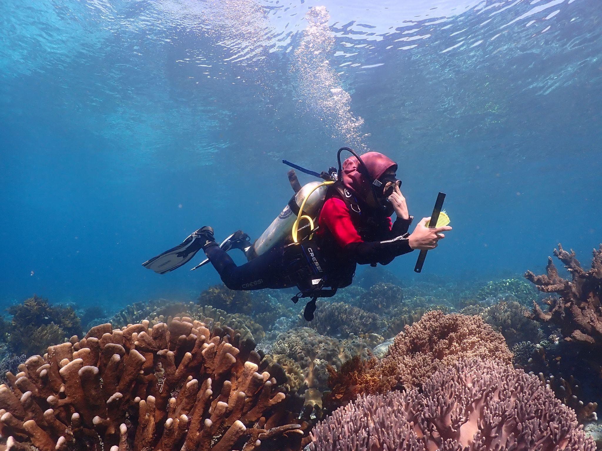 Monitoring laut obi